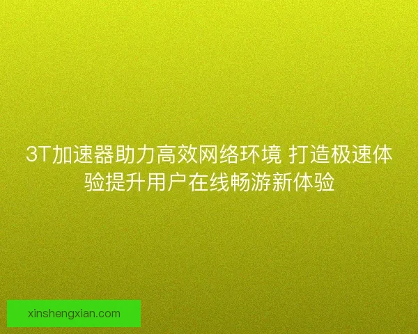 3T加速器助力高效网络环境 打造极速体验提升用户在线畅游新体验