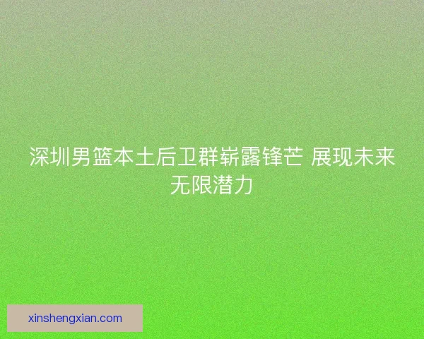 深圳男篮本土后卫群崭露锋芒 展现未来无限潜力