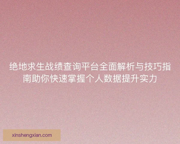 绝地求生战绩查询平台全面解析与技巧指南助你快速掌握个人数据提升实力